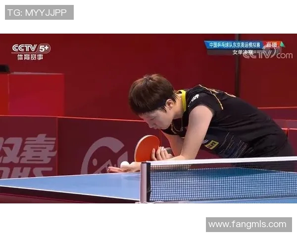 深圳乒乓球队个人能力表现数据分析与提升策略探讨